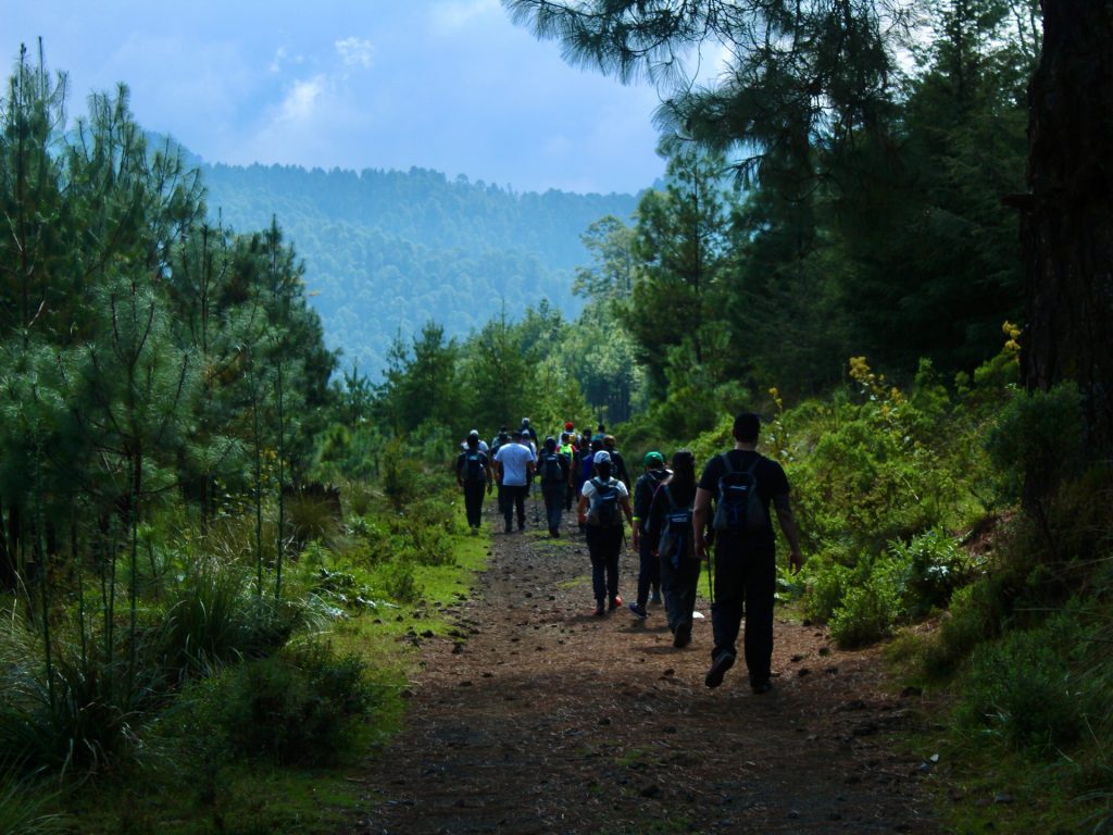Mariposas y aventura